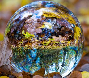 autumn_glass_ball_ball_fall_foliage_globe_image_photo_sphere_leaves_autumn_colours-1026010.jp...jpeg