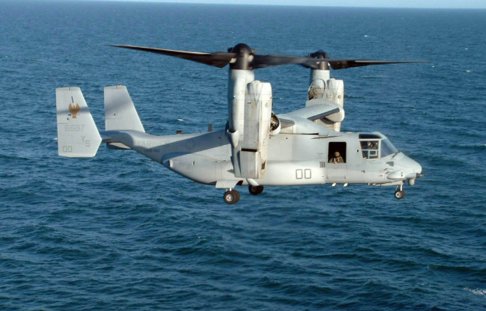 osprey 2.jpg