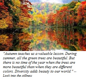 autumn teaches us.jpg