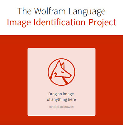 wolfram language online